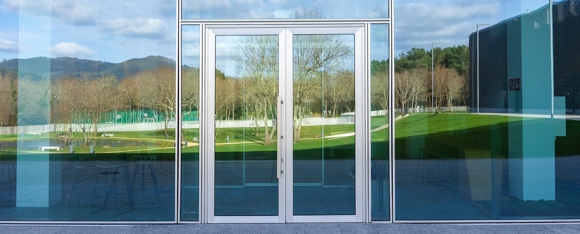 Porta Millennium Plus 80